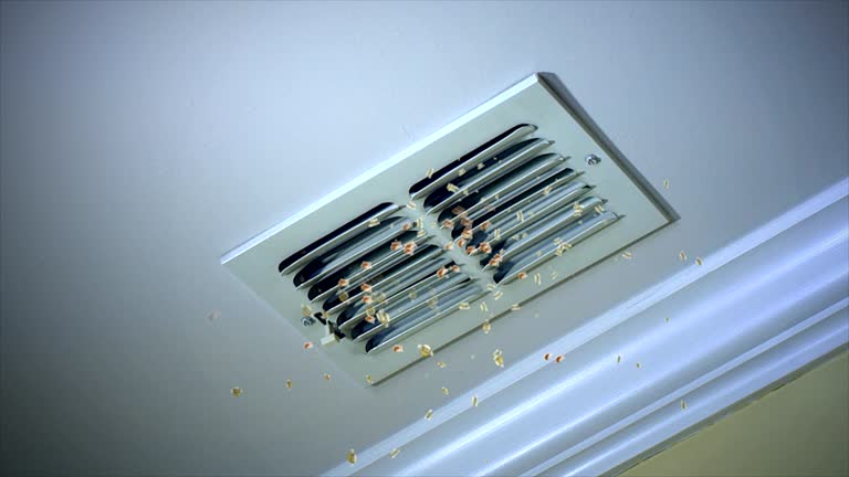 Best HVAC Duct Inspection Services  in Riverside, PA